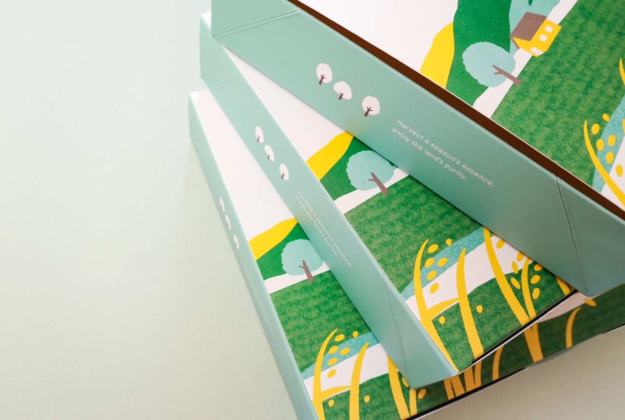 蔡老師蔬食便當 包裝設計's image 6