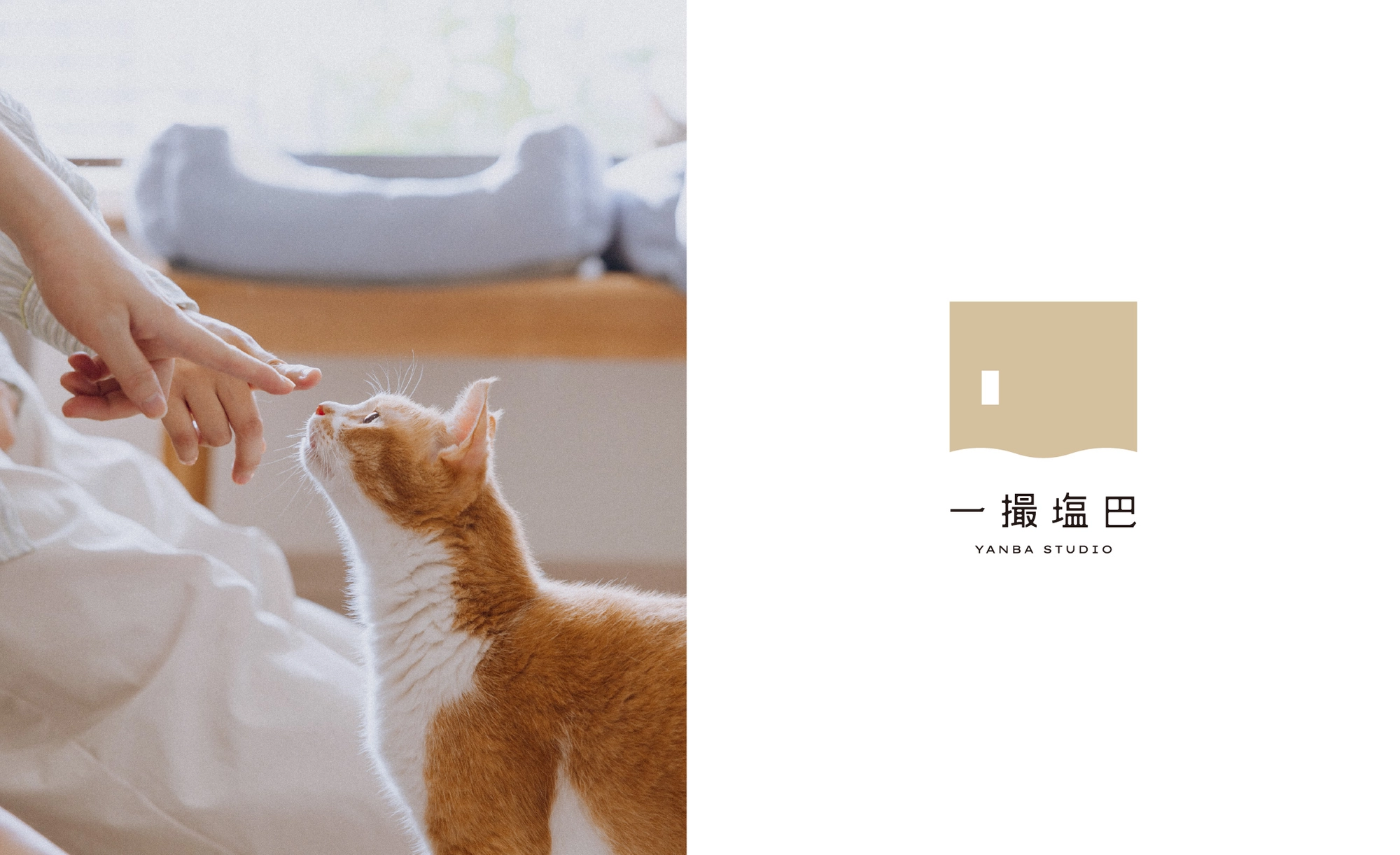YANBA STUDIO 一撮塩巴's image 3